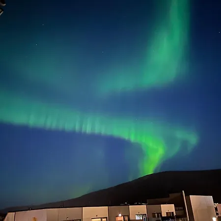 Modern Comfort In 1902 Wooden House, Center Apartamento