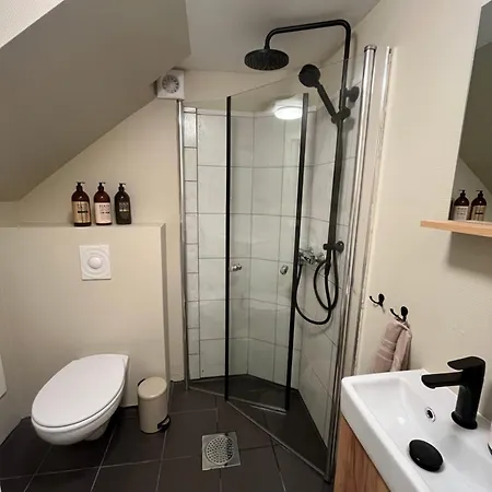 Modern Comfort In 1902 Wooden House, Center Apartamento